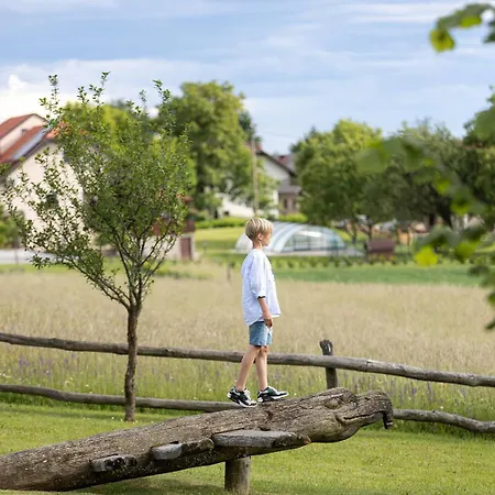 Ernest Zelezni With Hot Tub * Ivancna Gorica