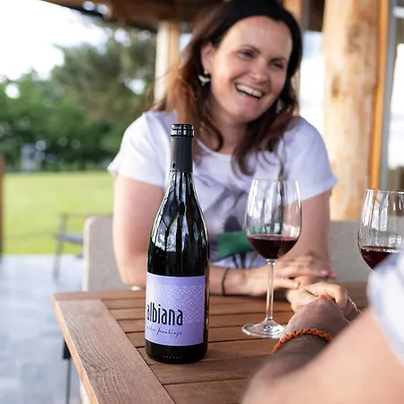 Ernest Zelezni With Hot Tub Chalet Ivancna Gorica