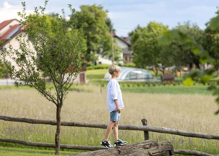 Ernest Zelezni With Hot Tub * Ivancna Gorica